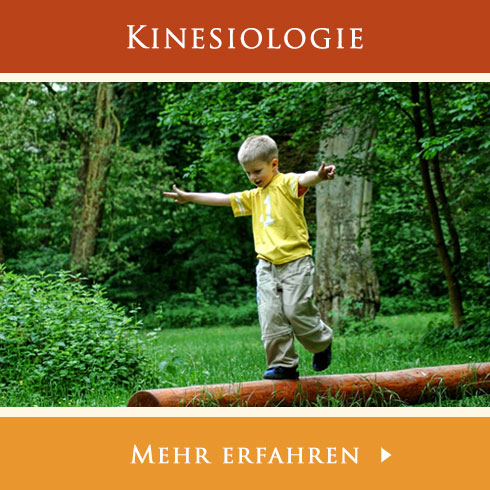 kinesiologie